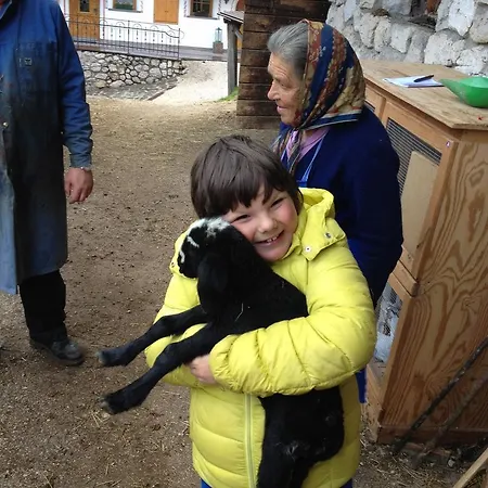 Maso Larciunei Agroturismo Selva di Val Gardena