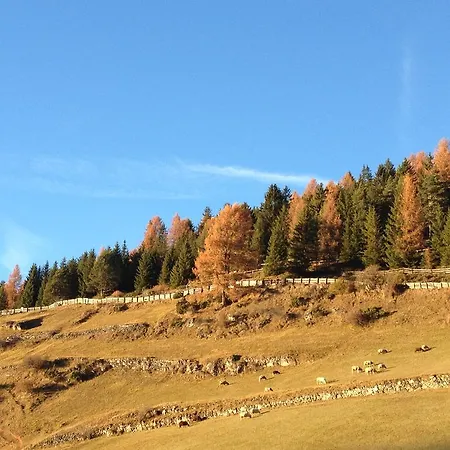 Maso Larciunei Farm stay Selva di Val Gardena